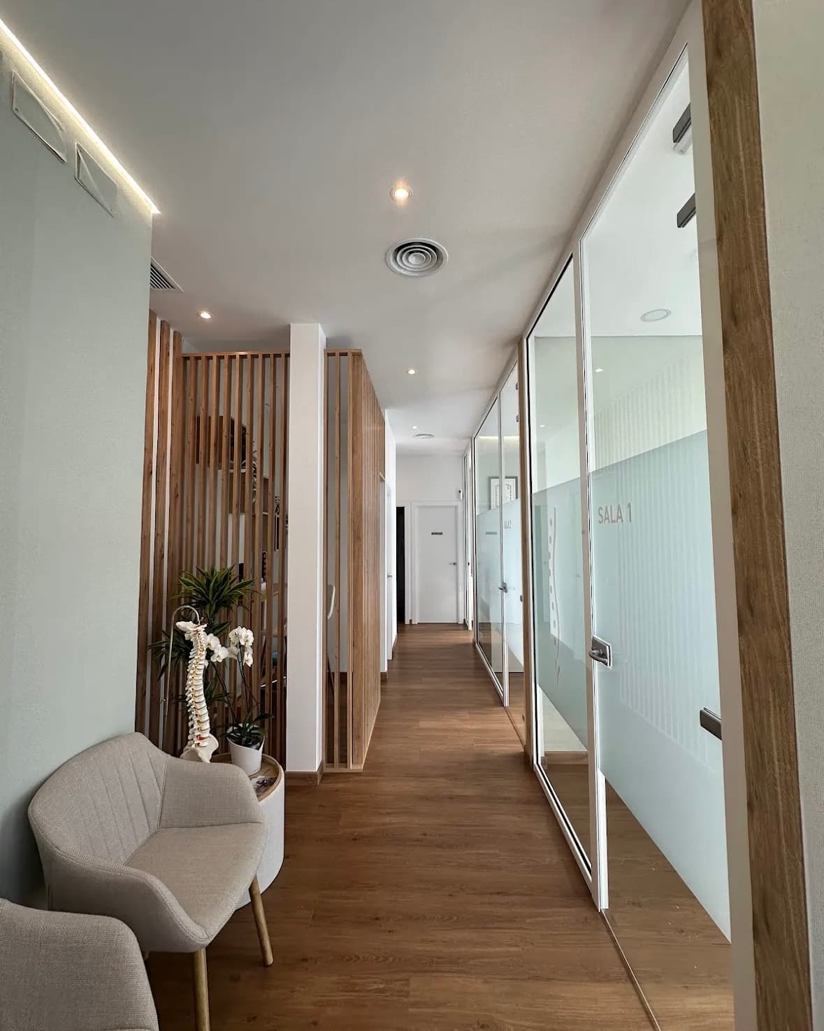 Elisa Torres - Imagen 2