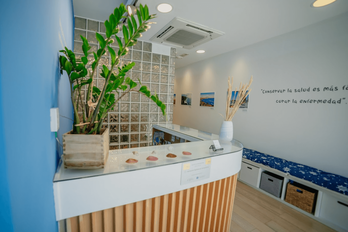 Dimitri De Borodaewsky - Imagen 6