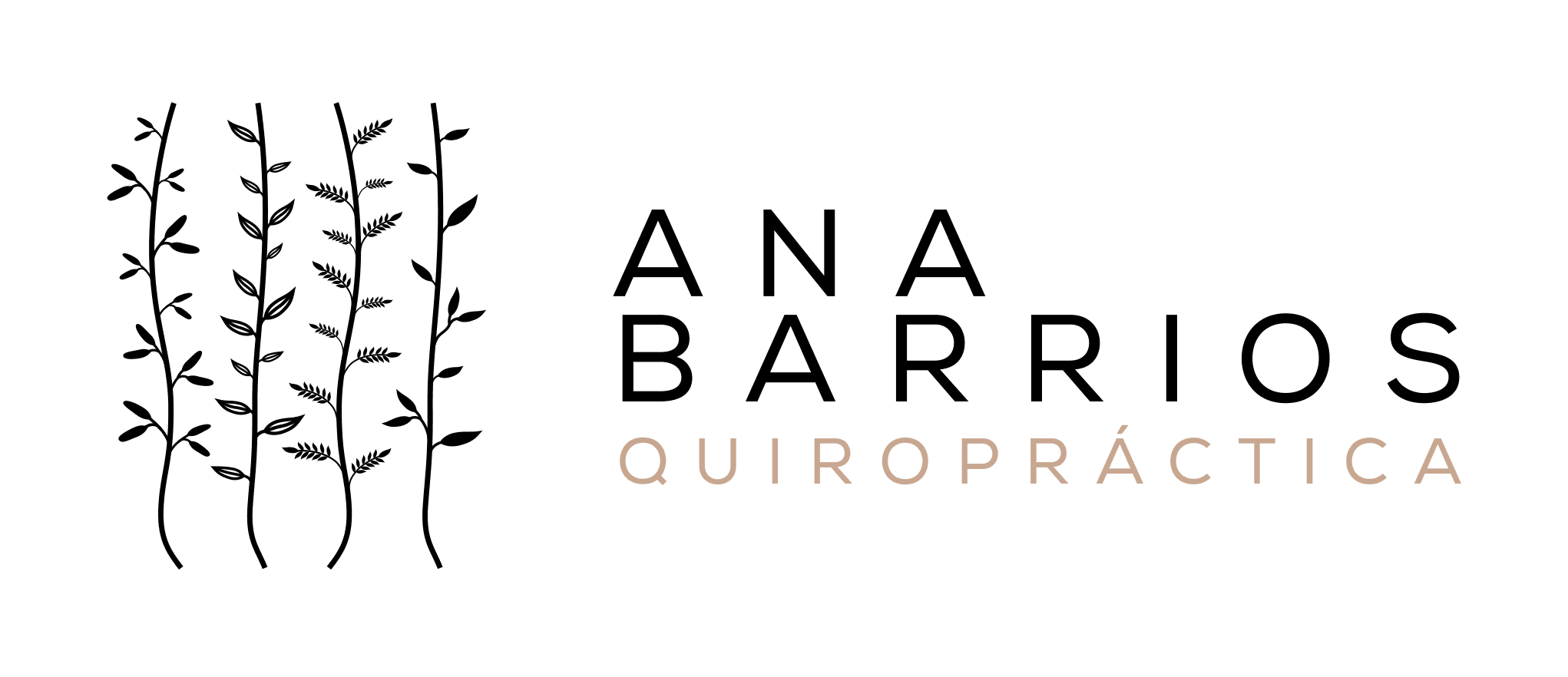 Logo de Centro Quiropráctico Ana Barrios