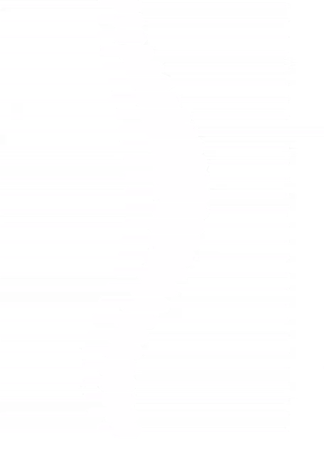 Logo de Quiropráctica Sur